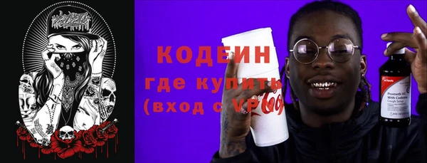 молекула духа Козельск