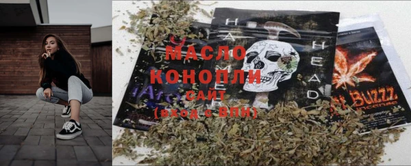 молекула духа Козельск