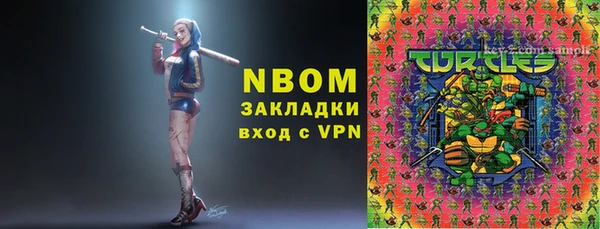 молекула духа Козельск